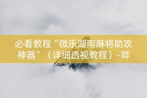 必看教程“微乐湖南麻将助攻神器”（详细透视教程）-哔哩哔哩