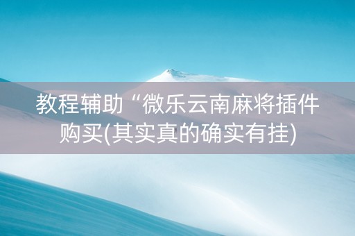教程辅助“微乐云南麻将插件购买(其实真的确实有挂)
