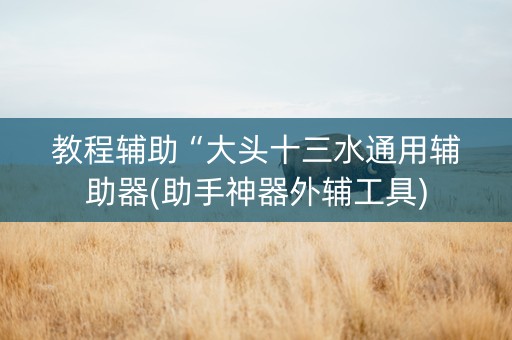 教程辅助“大头十三水通用辅助器(助手神器外辅工具)