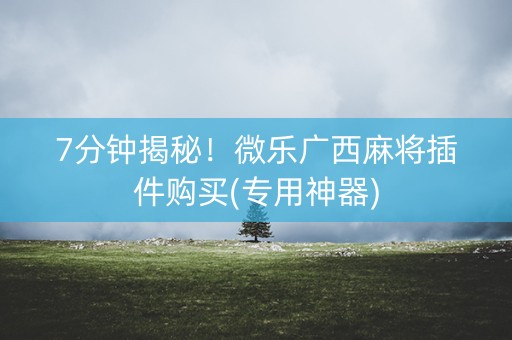 7分钟揭秘！微乐广西麻将插件购买(专用神器)