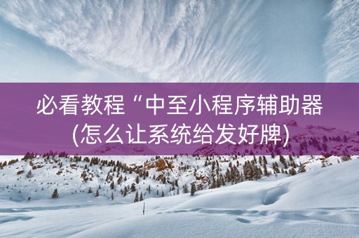必看教程“中至小程序辅助器(怎么让系统给发好牌)