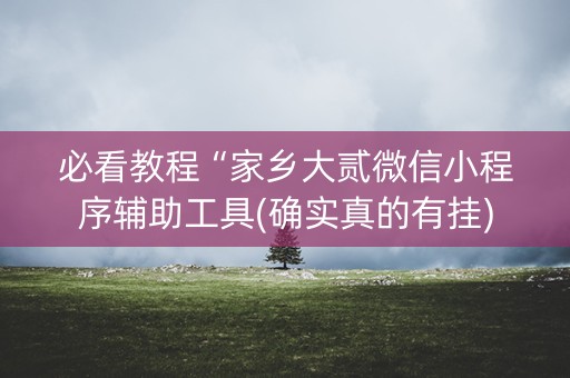 必看教程“家乡大贰微信小程序辅助工具(确实真的有挂)