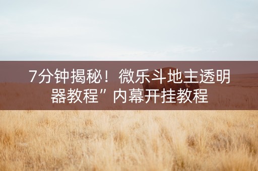 7分钟揭秘！微乐斗地主透明器教程”内幕开挂教程