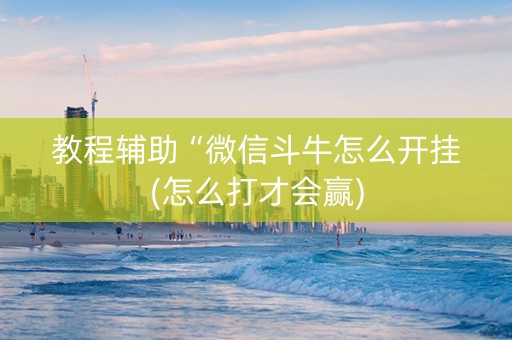 教程辅助“微信斗牛怎么开挂(怎么打才会赢)