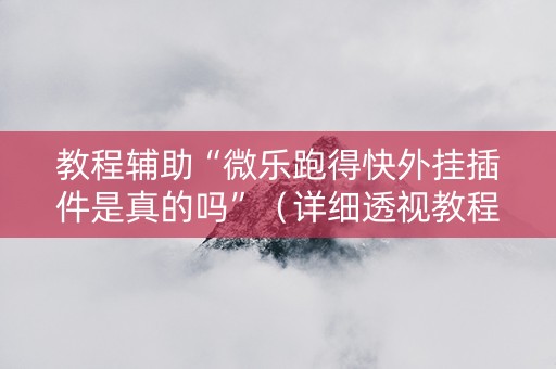 教程辅助“微乐跑得快外挂插件是真的吗”（详细透视教程）-哔哩哔哩