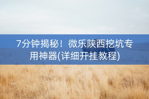 7分钟揭秘！微乐陕西挖坑专用神器(详细开挂教程)