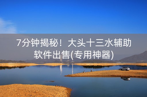 7分钟揭秘！大头十三水辅助软件出售(专用神器)