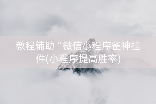教程辅助“微信小程序雀神挂件(小程序提高胜率)