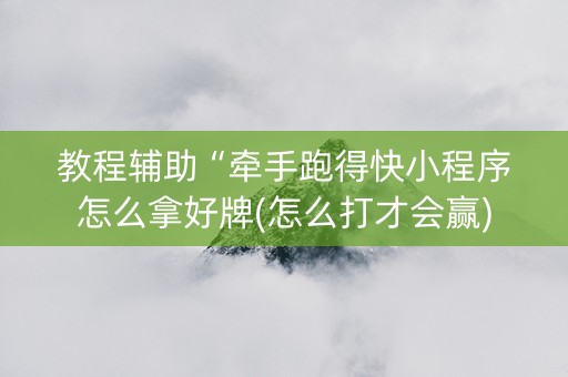 教程辅助“牵手跑得快小程序怎么拿好牌(怎么打才会赢)