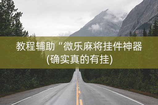 教程辅助“微乐麻将挂件神器(确实真的有挂)