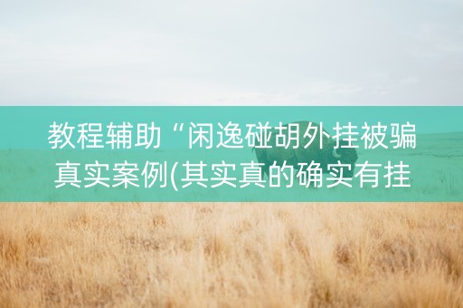 教程辅助“闲逸碰胡外挂被骗真实案例(其实真的确实有挂)
