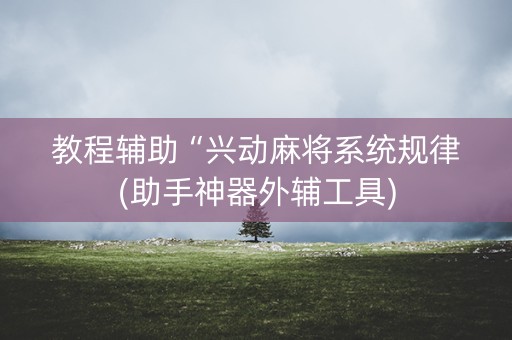 教程辅助“兴动麻将系统规律(助手神器外辅工具)