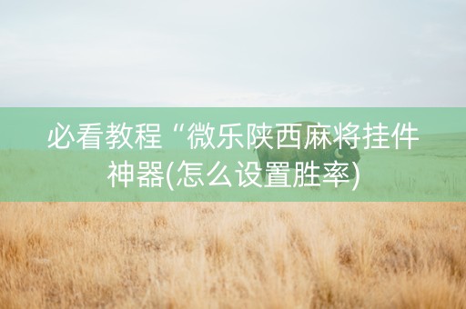 必看教程“微乐陕西麻将挂件神器(怎么设置胜率)