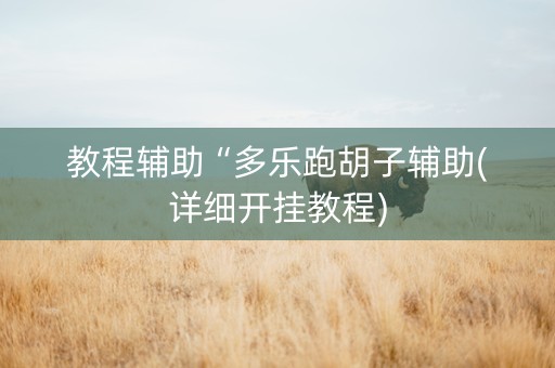 教程辅助“多乐跑胡子辅助(详细开挂教程)