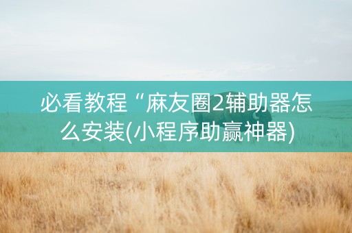 必看教程“麻友圈2辅助器怎么安装(小程序助赢神器)