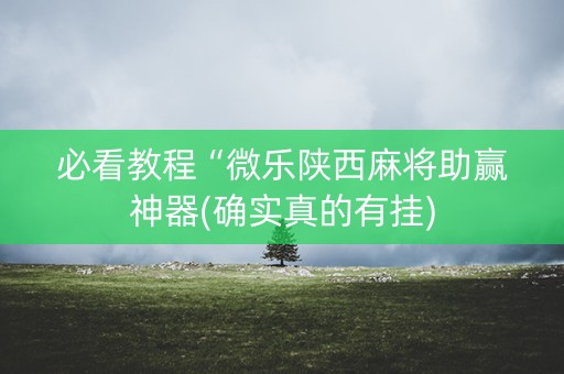 必看教程“微乐陕西麻将助赢神器(确实真的有挂)