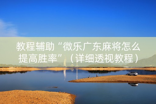 教程辅助“微乐广东麻将怎么提高胜率”（详细透视教程）-哔哩哔哩