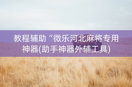 教程辅助“微乐河北麻将专用神器(助手神器外辅工具)