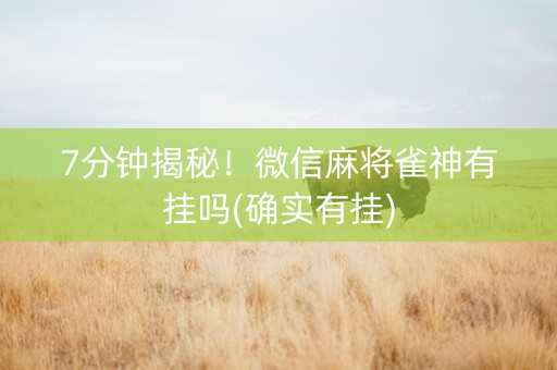 7分钟揭秘！微信麻将雀神有挂吗(确实有挂)
