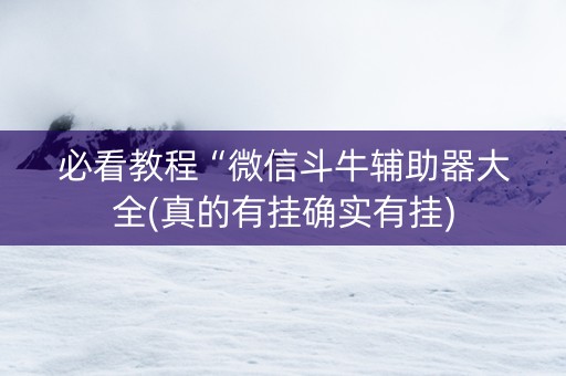 必看教程“微信斗牛辅助器大全(真的有挂确实有挂)