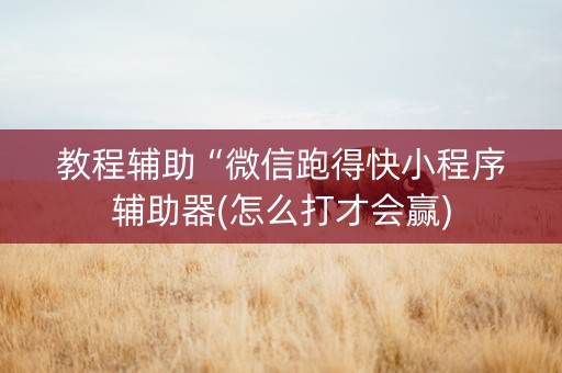 教程辅助“微信跑得快小程序辅助器(怎么打才会赢)