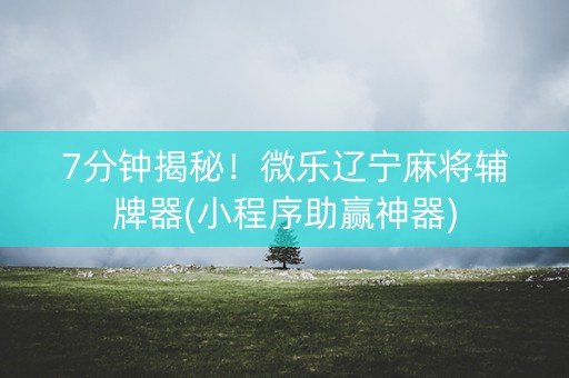 7分钟揭秘！微乐辽宁麻将辅牌器(小程序助赢神器)
