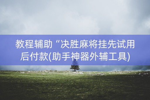 教程辅助“决胜麻将挂先试用后付款(助手神器外辅工具)