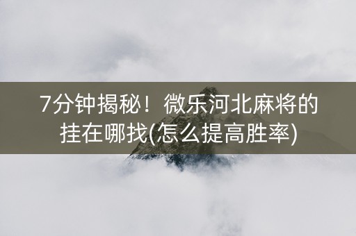 7分钟揭秘！微乐河北麻将的挂在哪找(怎么提高胜率)