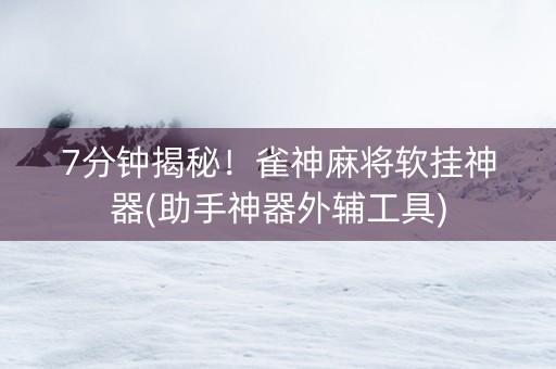 7分钟揭秘！雀神麻将软挂神器(助手神器外辅工具)