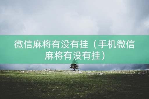 微信麻将有没有挂（手机微信麻将有没有挂）