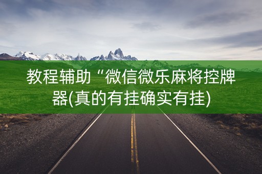 教程辅助“微信微乐麻将控牌器(真的有挂确实有挂)