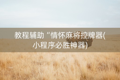 教程辅助“情怀麻将控牌器(小程序必胜神器)