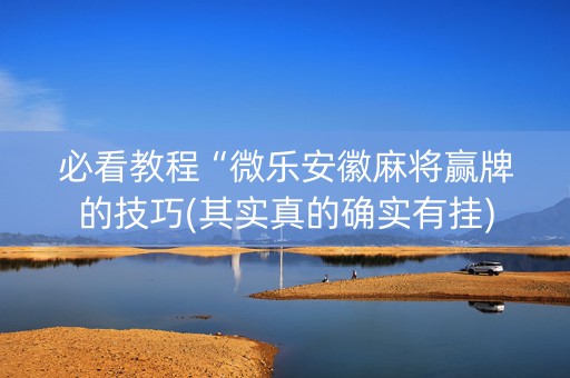 必看教程“微乐安徽麻将赢牌的技巧(其实真的确实有挂)