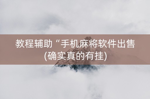 教程辅助“手机麻将软件出售(确实真的有挂)