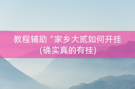 教程辅助“家乡大贰如何开挂(确实真的有挂)