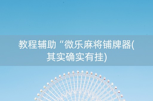 教程辅助“微乐麻将铺牌器(其实确实有挂)