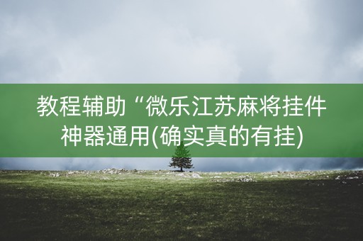 教程辅助“微乐江苏麻将挂件神器通用(确实真的有挂)