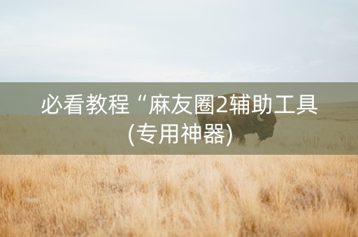 必看教程“麻友圈2辅助工具(专用神器)