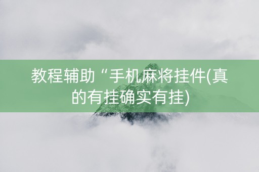 教程辅助“手机麻将挂件(真的有挂确实有挂)