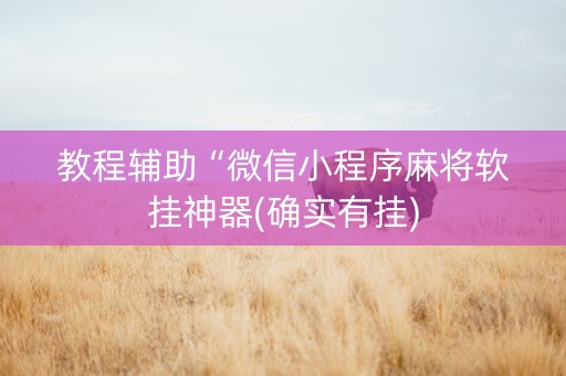 教程辅助“微信小程序麻将软挂神器(确实有挂)