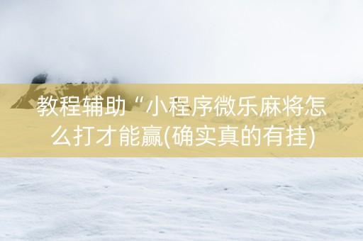 教程辅助“小程序微乐麻将怎么打才能赢(确实真的有挂)