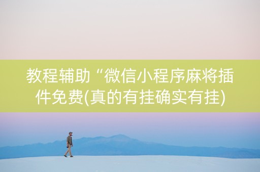 教程辅助“微信小程序麻将插件免费(真的有挂确实有挂)