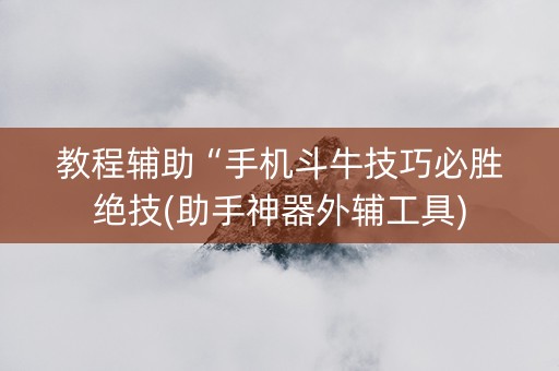教程辅助“手机斗牛技巧必胜绝技(助手神器外辅工具)