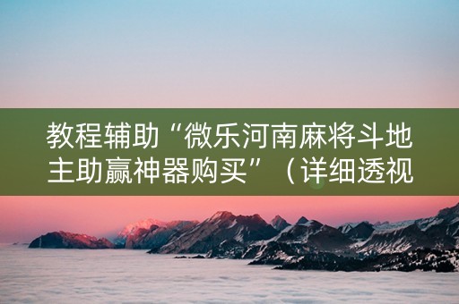 教程辅助“微乐河南麻将斗地主助赢神器购买”（详细透视教程）-哔哩哔哩