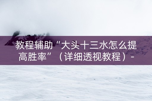 教程辅助“大头十三水怎么提高胜率”（详细透视教程）-哔哩哔哩