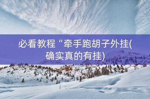 必看教程“牵手跑胡子外挂(确实真的有挂)