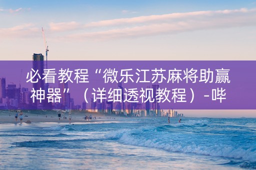 必看教程“微乐江苏麻将助赢神器”（详细透视教程）-哔哩哔哩