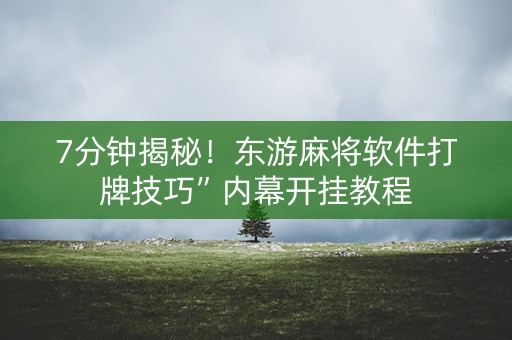 7分钟揭秘！东游麻将软件打牌技巧”内幕开挂教程