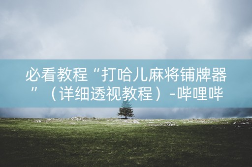 必看教程“打哈儿麻将铺牌器”（详细透视教程）-哔哩哔哩