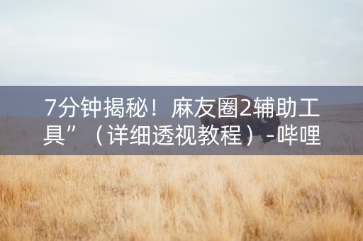 7分钟揭秘！麻友圈2辅助工具”（详细透视教程）-哔哩哔哩